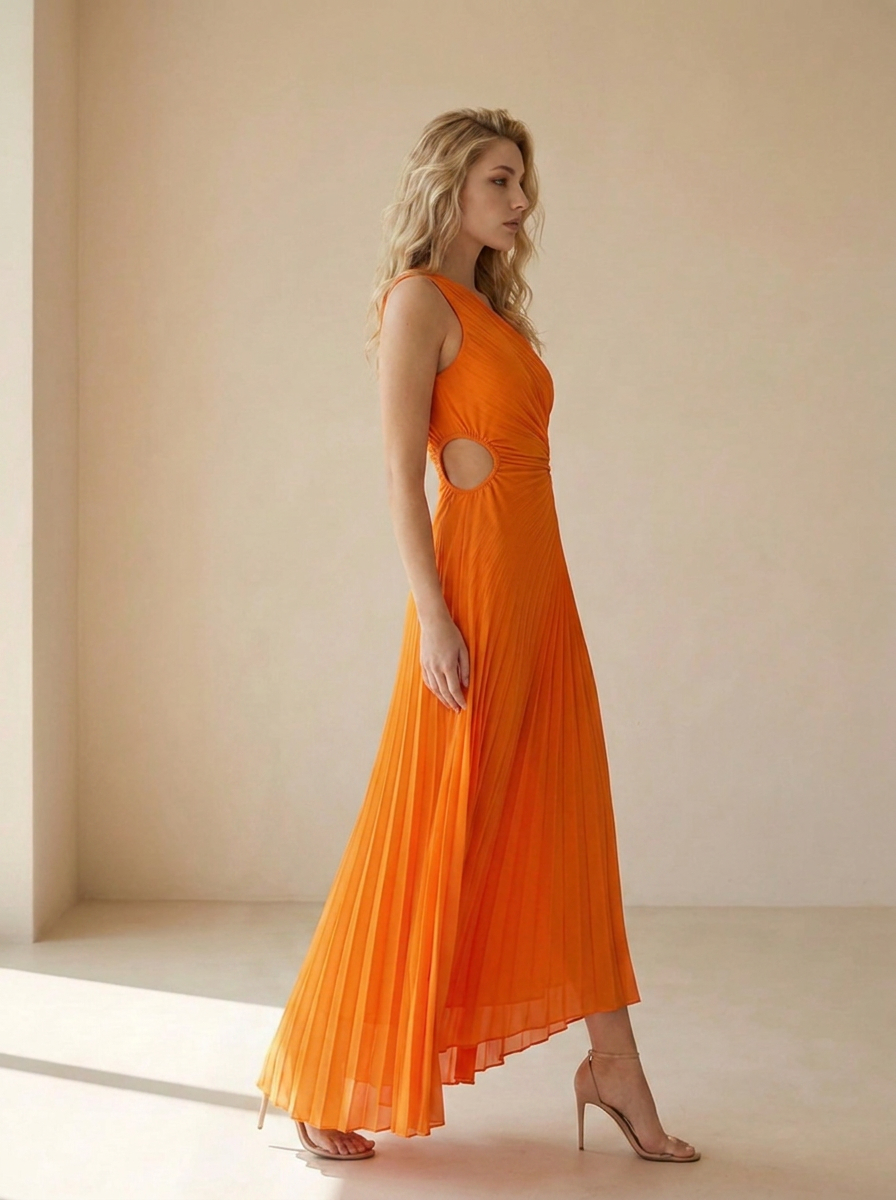 Delfina | Robe Maxi Plissée À Une Épaule